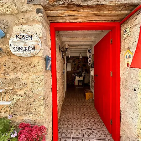 ゲストハウス Koesem 3*